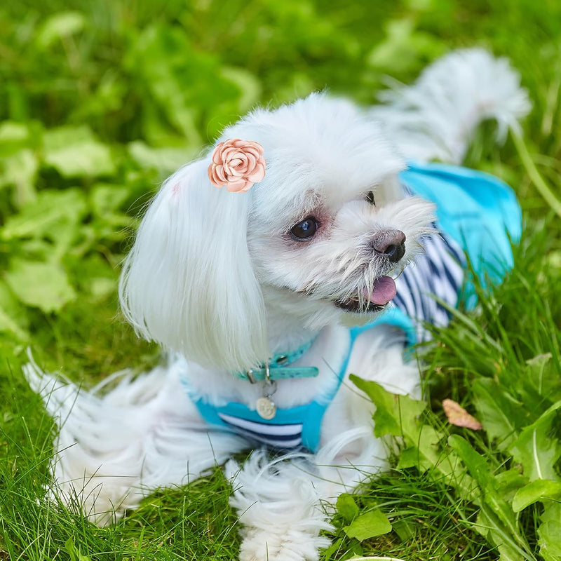 12 Pcs Girl Dog Hair Bows Small Dog Hair Clips Cute Dog Crown Hairpin Pink Hair Barrettes Rhinestones Small Dog Hair Pins for Cat Puppy Kitten Pet Party Birthday Hair Grooming Accessories - BeesActive Australia