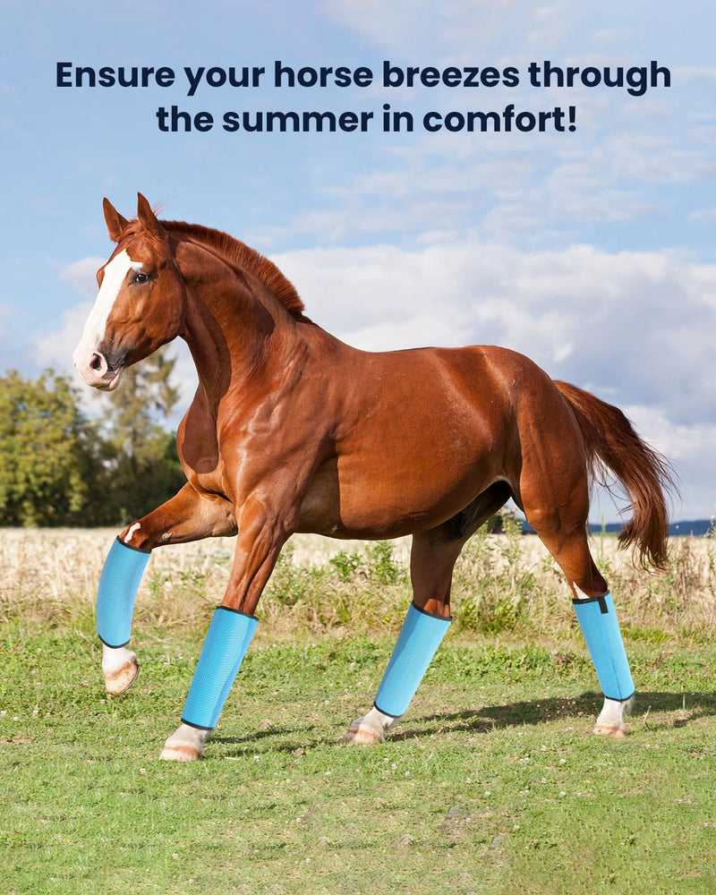 Premium Horse Fly Boots, Ultimate Protection Set for Horse Legs - Breathable Mesh, Stay-on Design, Stomp Reduction (Set of 4)-Blue - BeesActive Australia
