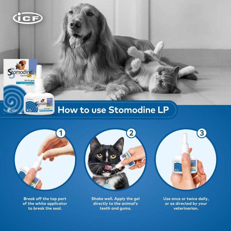 ICF | Stomodine Long Period Cat & Dog Toothpaste Gel for Pets' Oral Hygiene Gum Health | Bad Breath Meat Flavoured | 50 ml