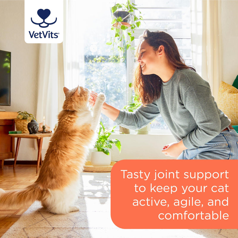 by Healthspan Flexi-Joints For Cats (4 months' supply) | Advanced Blend of Glucosamine & Chondroitin to support your cat's joint health | With Vitamins C & E | Tasty beef flavoured