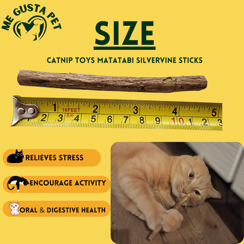 Cat Toys Silvervine Sticks for Cats | Matatabi Cat Chew Stick | Cat Toy Catnip Sticks Organic Cat Chew Toys | Wooden Stick Kitten Teething | Silvervine Sticks for Cat (Pack of 30) - BeesActive Australia