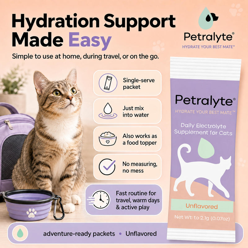 Petralyte Cat Hydration Electrolyte and Cat Joint Supplement | Hydration Support for Cats w/Glucosamine, Chondroitin, L-Glutamine, Taurine, Lysine & Prebiotics | Unflavored | 16 Packets 1-Pack (16 Packets)