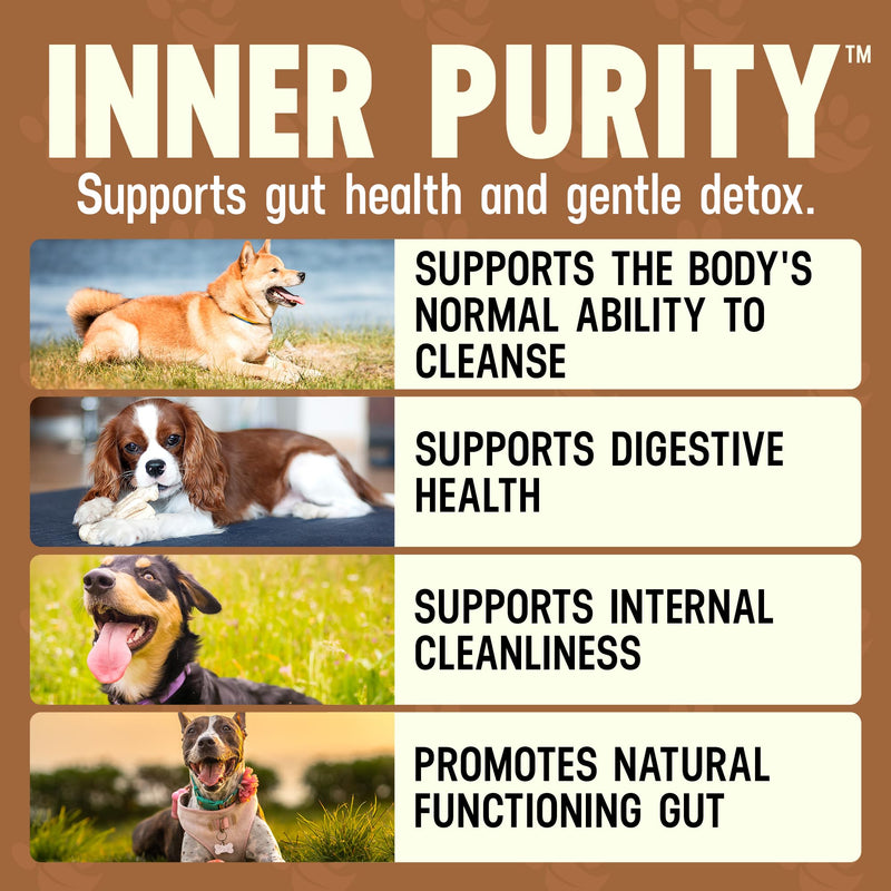 Better Dog Supplements by Cesar Millan® Inner Purity – Natural Digestive, Dewormer & Gut Health Powder for Dogs – Internal Cleanliness, Detox & Bowel Movement Support – 3.4oz, (60-Day Supply)
