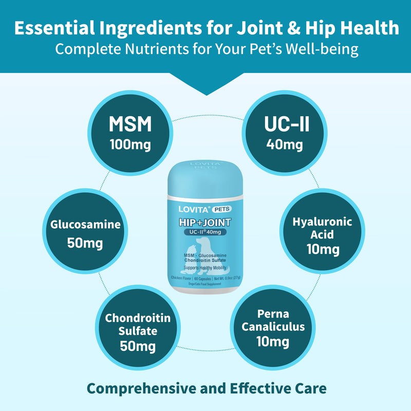 LOVITA Hip + Joint Supplement for Pets - Supports Mobility & Joint Health for Dogs & Cats - 60 Capsules, Chicken Flavor