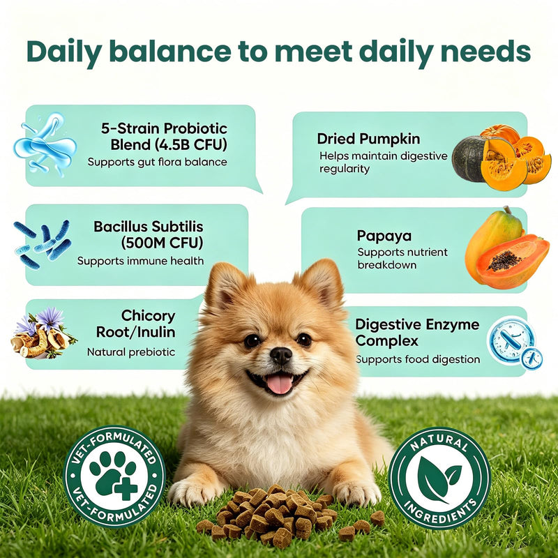 Dog Probiotics Chews, 200 Count Chicken Flavor, with Digestive Enzymes & Prebiotics, Supports Gut Health, Relieves Diarrhea, Constipation & Itching, Boosts Immunity & Oral Health for All Dogs