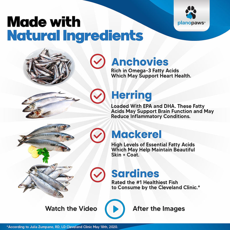 Omega 3 Fish Oil for Dogs - Better Than Salmon Oil - Dog Fish Oil Supplement to Reduce Shedding & Itching - Supports Joints, Brain, and Heart Health - Skin and Coat Supplement - Liquid Fish Oil 32 oz - PawsPlanet Australia