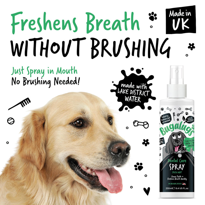 BUGALUGS Dog Breath Freshener Dental Care Dog Spray. Clean Teeth, Healthy Gums & Fresh Breath - Natural Dog plaque remover & tartar remover for teeth. No Brushing Needed (Dog 250ml Spray) 250 ml (Pack of 1)