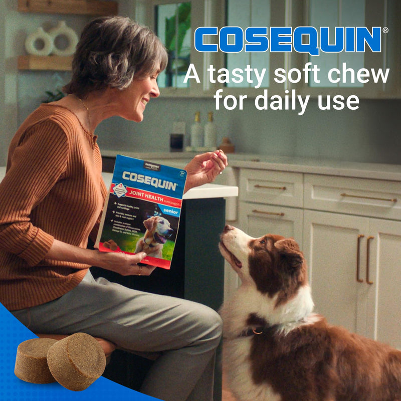 Nutramax Cosequin for Senior Dogs Joint Health Supplement, Contains Glucosamine, Chondroitin, MSM, Omega-3s and Beta-Glucan, Supports Joint, Skin and Coat, Immune Health, Soft Chews, 120 Count 120 ct