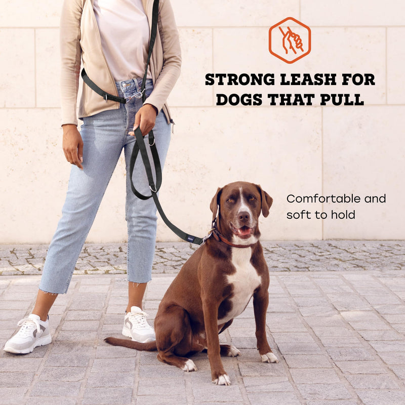 vitazoo dog leash - 3mx2.5cm - nylon graphite leash with carabiners for small, medium and large dogs - adjustable leash with 4 different lengths in black for your dog 3m - BeesActive Australia