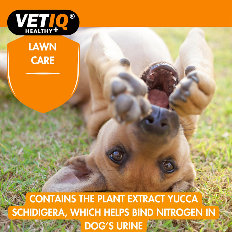 VETIQ Green-Um Lawn Burn Solution, Dog Urine Neutraliser Tablets to Control Nitrogen in Urine to Prevent Lawn Yellow Spots, 175 Tablets (Pack of 1)