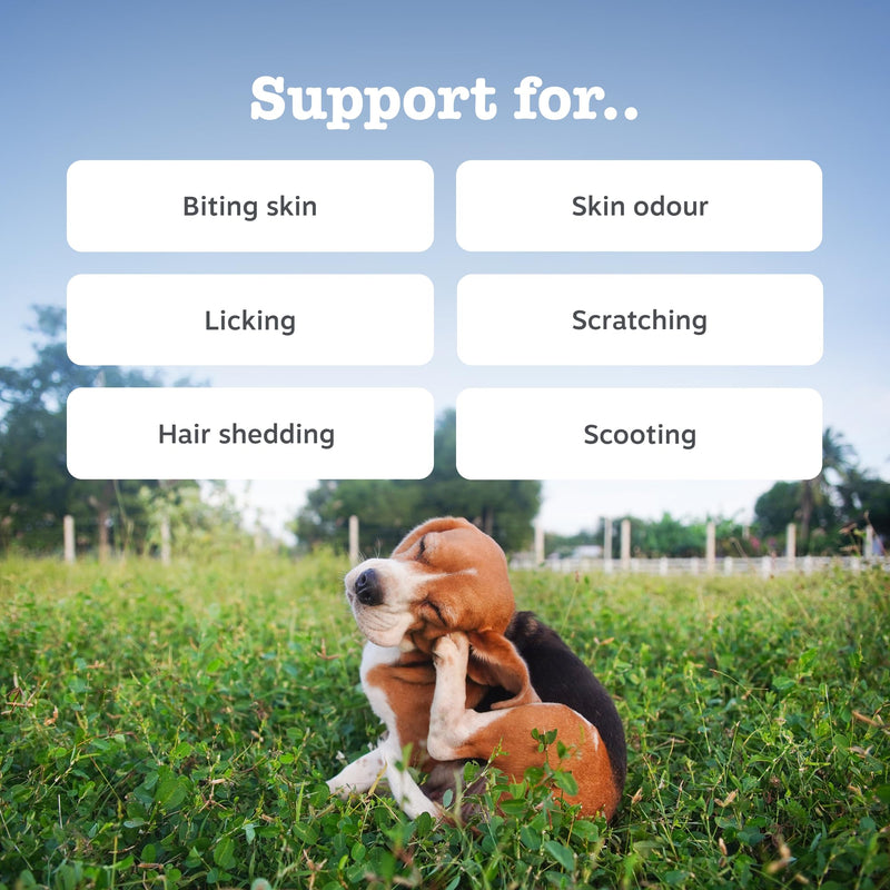 Zesty Paws Anti-Itch Chews for Dogs | Soothes Itchy Skin, Paws & Ears from Licking & Scratching, Helps Immune Function, Skin & Gut Health | Contains Salmon Oil & Probiotics | Daily Use | 90 Chews 90 Count