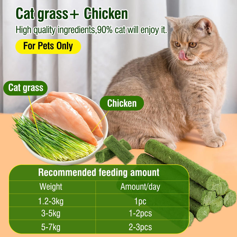 30g Cat Grass Snack, Cat Grass Sticks Naturally Dried Snacks for Cats for Hairball Removal and Dental Care, Catnip, Cat Grass Stick 30g - BeesActive Australia