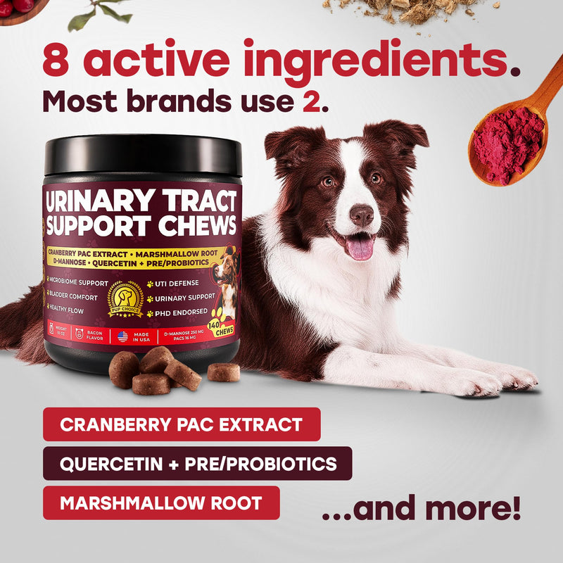 Urinary Tract Supplement for Dogs – Cranberry & Bladder Support