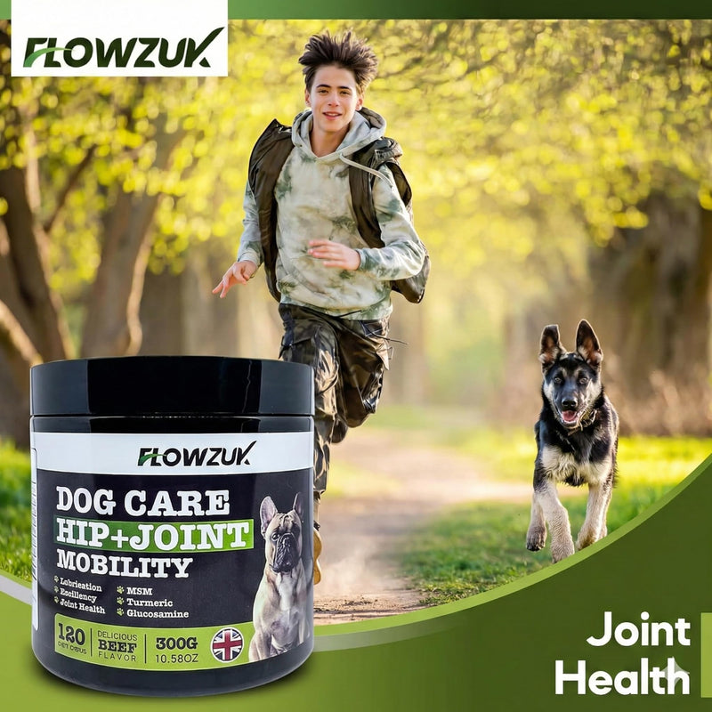Dog Care Supplement - All-Natural Hip and Joint Supplements for Dogs - Dog Joint Itch Chews with Glucosamine, Turmeric, MSM - Beef