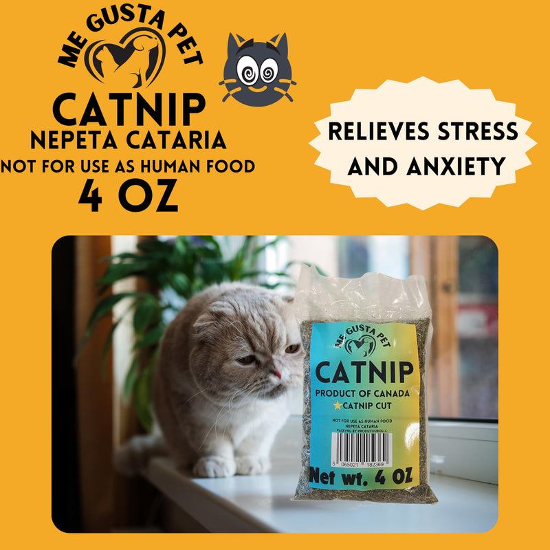 Catnip Cat Nip Blend | Premium Canadian Catnip Bulk Strong Cat Nip for Cats | Cat Nip Treats | All-Natural Cat Nip | Catnip Bag | Catnip Kitty Safe | Catnip Refill for Catnip Toys (4 Ounce) - BeesActive Australia