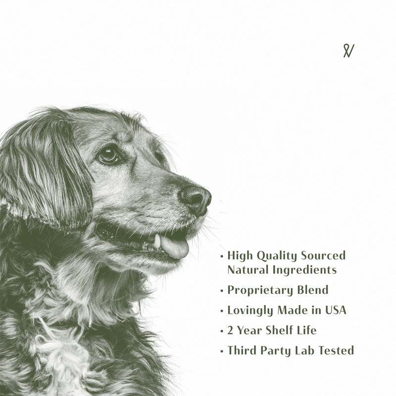 Sinus Support for Dogs - 2 Fluid Ounces/60mls | USA Made | Supports Sinus Health and Relief | Relief for Allergies, Congestion & Acute Sinusitis | Natural Solution for Pets 2 fl oz - Sinus
