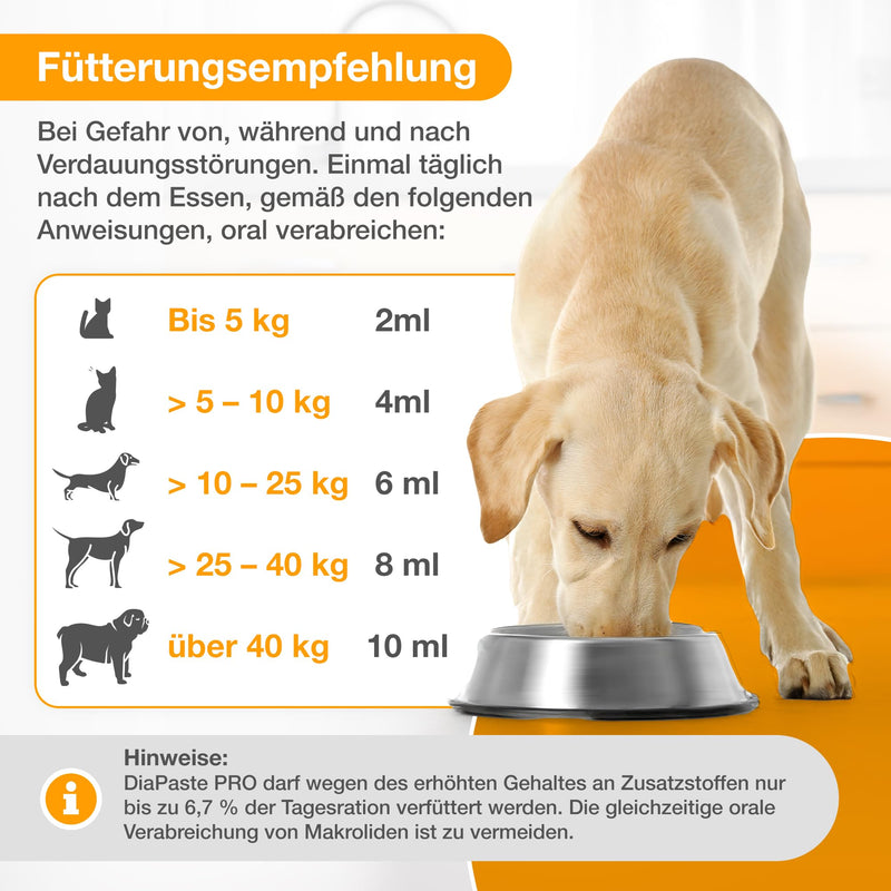 Alfavet DiaPaste PRO for Dogs & Cats (60 ml) – Prebiotic & Probiotic Paste – Digestive Support, Gut Flora Balance, Stool Consistency, Easy-to-Use Oral Injector
