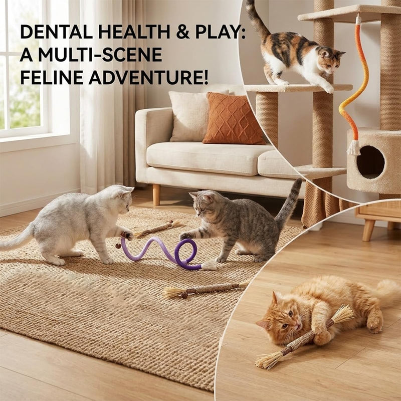 7 Pcs Kitten Teething Toy, 4 Pcs Cats Chew and 3 Pcs Cats Rope,Cat Chew Rope,Natural Silvervine Sticks Kitten Teething Toys for Indoor CatTeeth Cleaning Kitten Teething and Stress Release