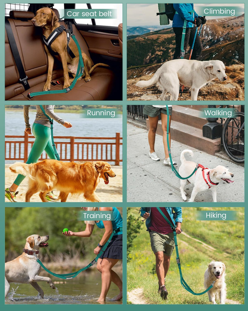 Hands Free Dog Leash, 2-in-1 Detachable Pet Seatbelt,5.9-9.2 ft Crossbody Dog Leash with Double-Sided Reflective for Walking, Hiking, Travel etc.(Orange) Green M & L (5.9-9.2 ft) - BeesActive Australia