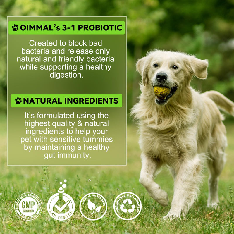 Probiotic For Dogs, 3-In-1 Probiotics Dogs Drops, with Prebiotic & Enzymes, Supports Gut Health, Immunity & Digestive Comfort, 60ml
