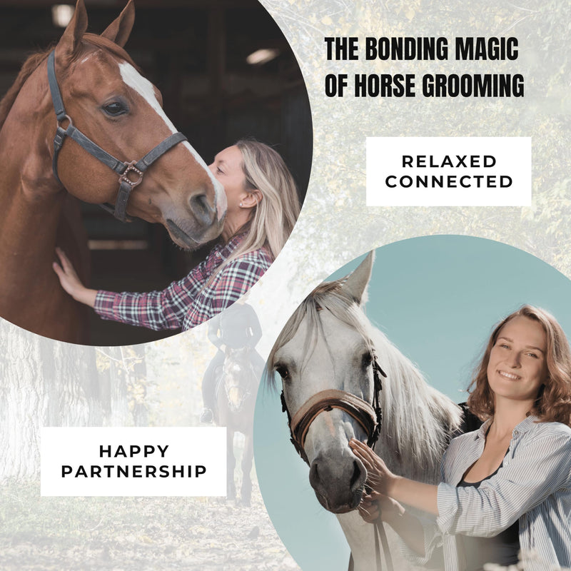 Horse Grooming Brush. Deluxe Handmade Soft Horse Brush For Face & Body. A Professional Equine Grooming Tool With Dense Soft Bristles To Gently Remove Surface Dust & Dirt & Promote A Smooth Shiny Coat. - BeesActive Australia