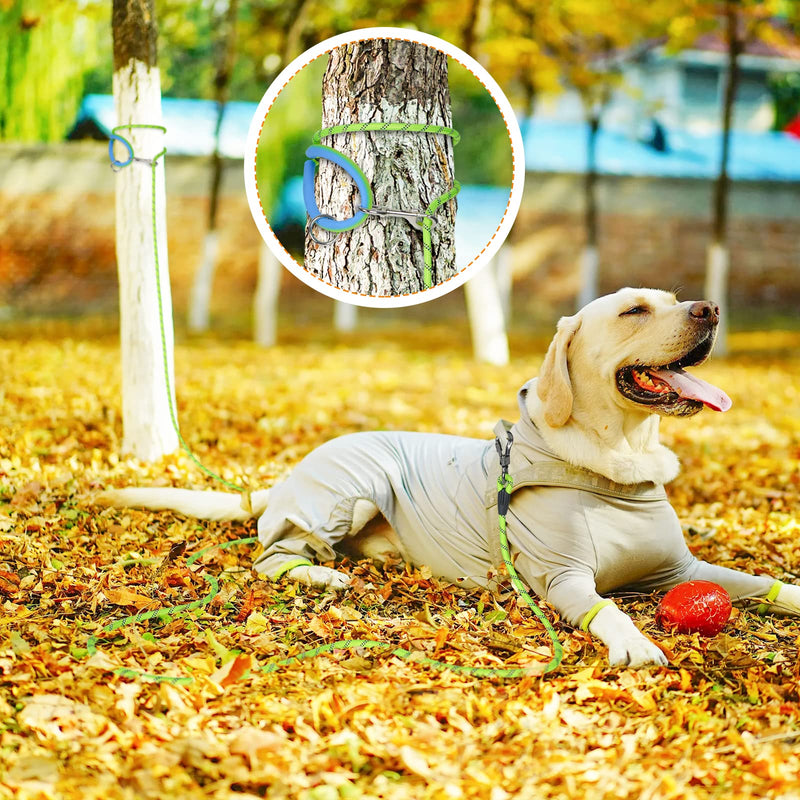 NTR 15FT Training Leash for Dogs, Nylon Rope Dog Leash with 2 Swivel Hooks and Comfortable Padded Handle, Cat Puppy Leash Lead for Small Medium Large Dogs Training, Playing, Camping, or Backyard 15ft*1/3" Green - BeesActive Australia