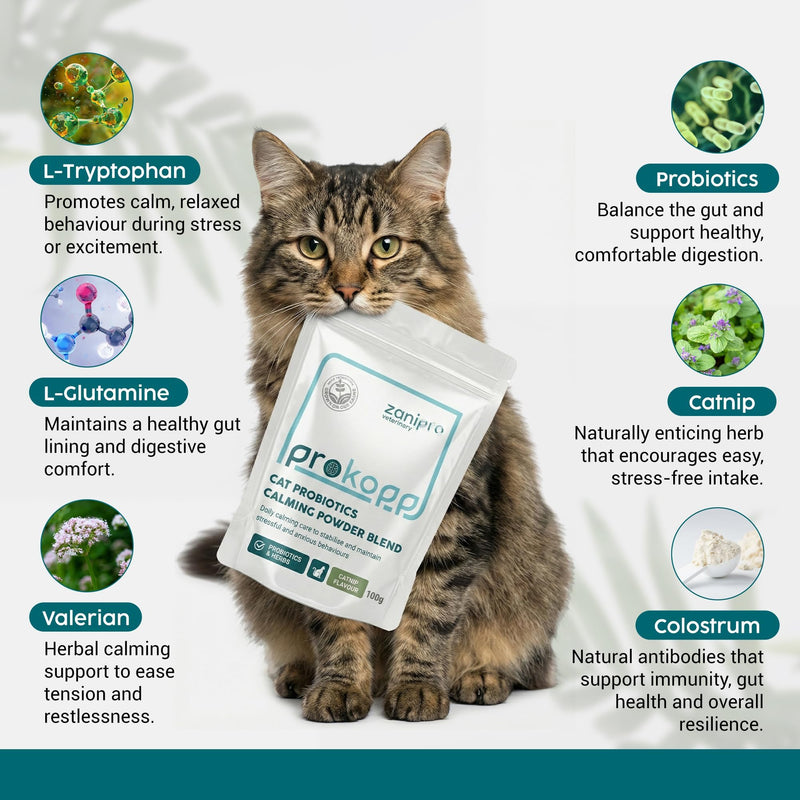 Cat Calming Powder Supplement - Stress & Anxiety Relief for Cats, Contains L-Tryptophan for Sleep Aid During Travel, Cat Probiotics for Digestive Support & Brain Gut-Axis | 100g (Catnip)