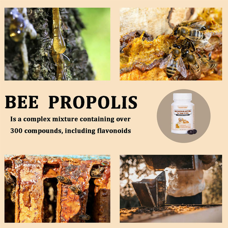 Bee Propolis for Dogs & Cats, Daily Immune System Support, Oral Care, Gum Health Supplement, 90 Soft Gels