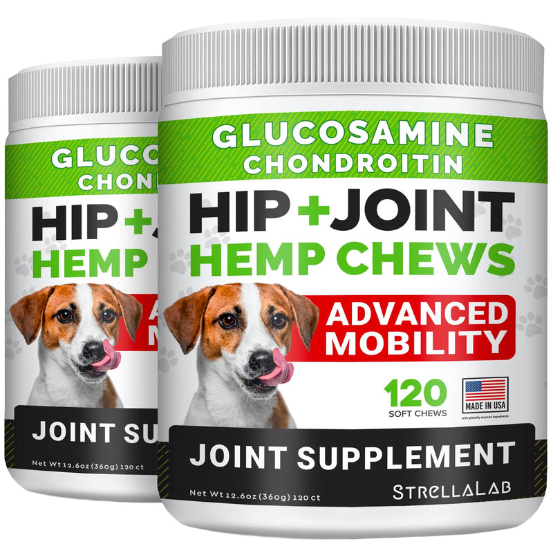 4oz Probiotics Powder + 240ct Hemp Glucosamine Joint Supplement Bundle - Relieves Diarrhea + Joint Pain Relief - Digestive Enzymes + Prebiotics + Omega 3, Hemp Oil + Chondroitin, MSM - Made in USA