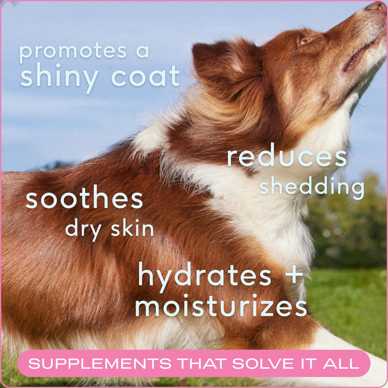 Native Pet Joint & Skin Wellness Pack: Hip & Joint Supplement for Dogs - Supports Cartilage, Muscles & Anti-Inflammatory & Omega Skin and Coat Chews Supplement for Dogs - 60 Count