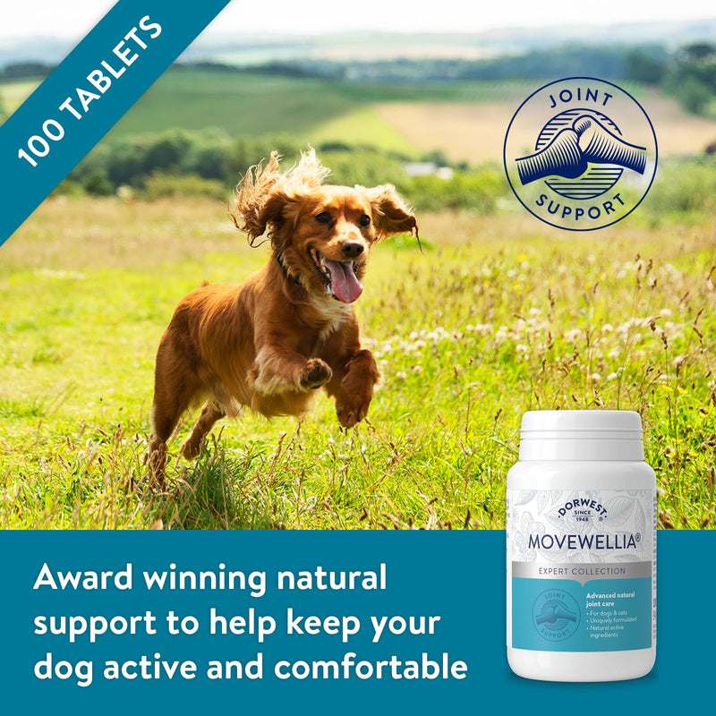 Dorwest Herbs MoveWellia Joint Care Supplement for Dogs and Cats - 100 Tablets - Natural Dog Supplements for Joint Discomfort with Boswellia, Chondroitin, Glucosamine and Celery Seed