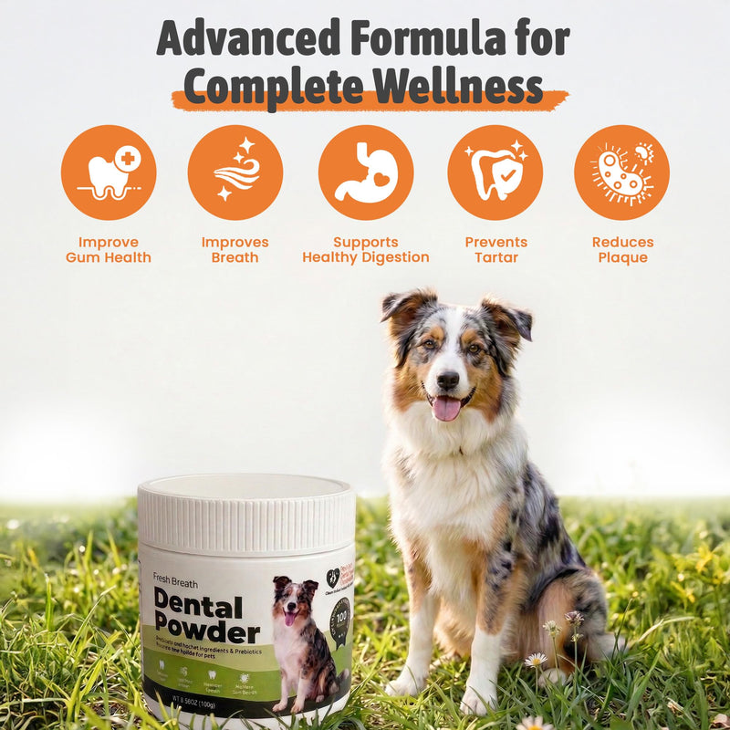 Dental Powder for Dogs & Cats – Freshens Breath, Reduces Plaque, Prevents Tartar – with Natural Herbal Ingredients & Prebiotics – Boosts Oral Health for Pets – 150g (5.29oz)