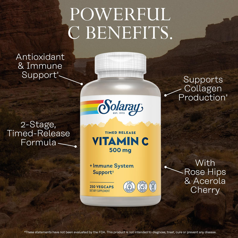 SOLARAY Vitamin C 500 mg Two-Stage Timed-Release, 250 VegCaps | Immune, Antioxidant & Collagen Support - All-Day Support with Rose Hips & Acerola - 250 Servings - Vegan, Gluten Free 250 Count (Pack of 1)