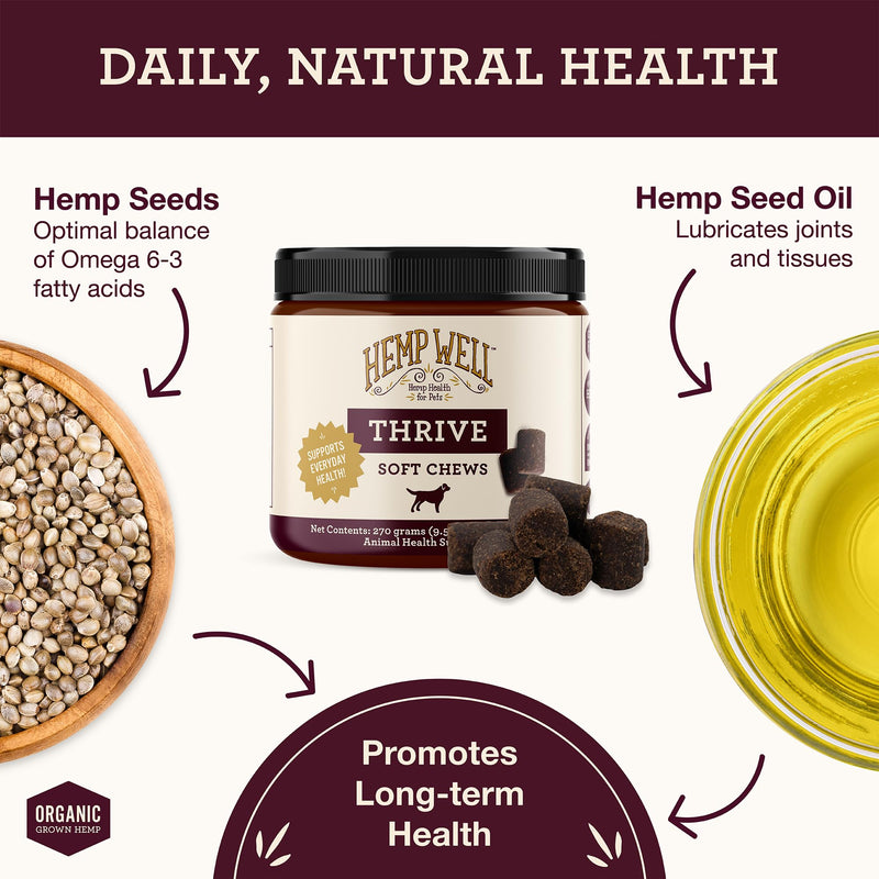 Hemp Well Thrive Chews for Dogs – Supports Hip, Joint, and Heart Health, Promotes Immune Support, Strengthens Skin and Coat, Organically Sourced – 60 Count - PawsPlanet Australia