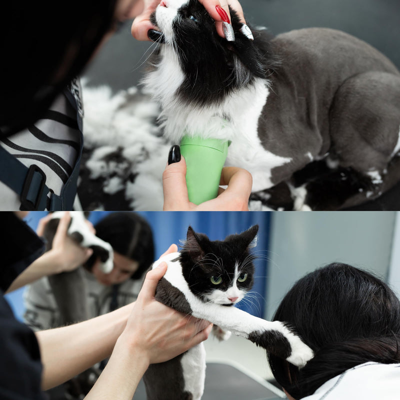 Detachable A Series 10 Cat Clippers Blade Cut Length 1.5mm Japanese Carbonized Steel Cat Grooming Supplies | Cat Grooming Blade Compatible A5 Series Clippers for Cat (10 Cat) 10C (1/16" - 1.5mm ) - BeesActive Australia