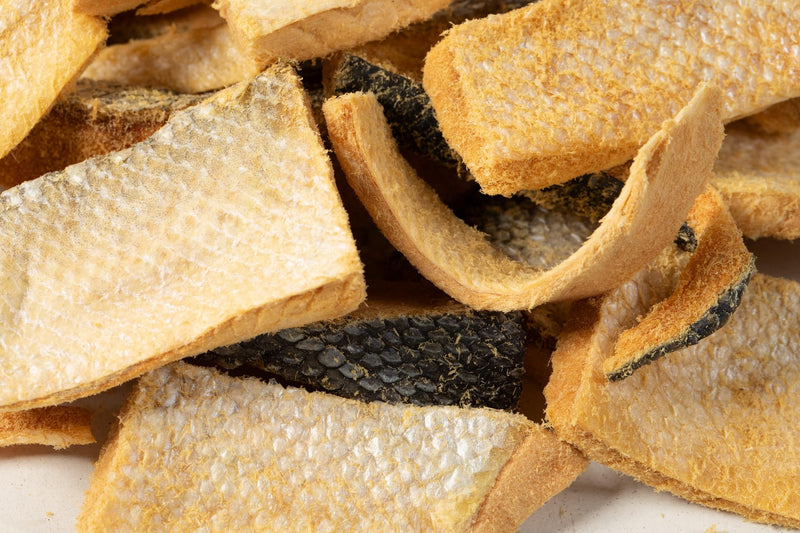 HOLI Wild Caught Salmon Skin Dog Dental Chews, Natural Single Ingredient Oral Hygiene Dog Treats, Reduces Plaque, Tartar Control, Omega 3 & 6 for Healthy Coat