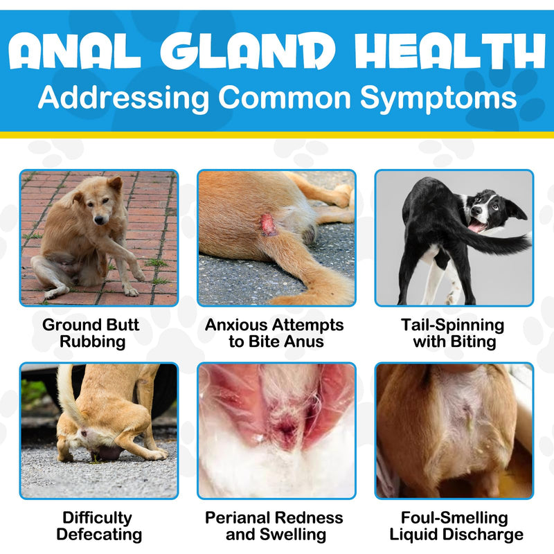Anal Gland Support for Dogs, 150 PCS Anal Gland Supplement Soft Chews with Pumpkin Puree Fiber, Dog Diarrhea Supports Healthy Anal Gland & Intestinal Function with Digestive Enzymes & Probiotics - BeesActive Australia
