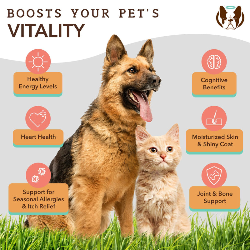Natural Dog Company Healthy Joints Bundle, Includes (1) Wild Alaskan Salmon Oil - 16 oz., (1) Hip and Joint Chews Supplement - 90 pcs, Vitamins for Dogs, Fish Oil for Dogs - PawsPlanet Australia