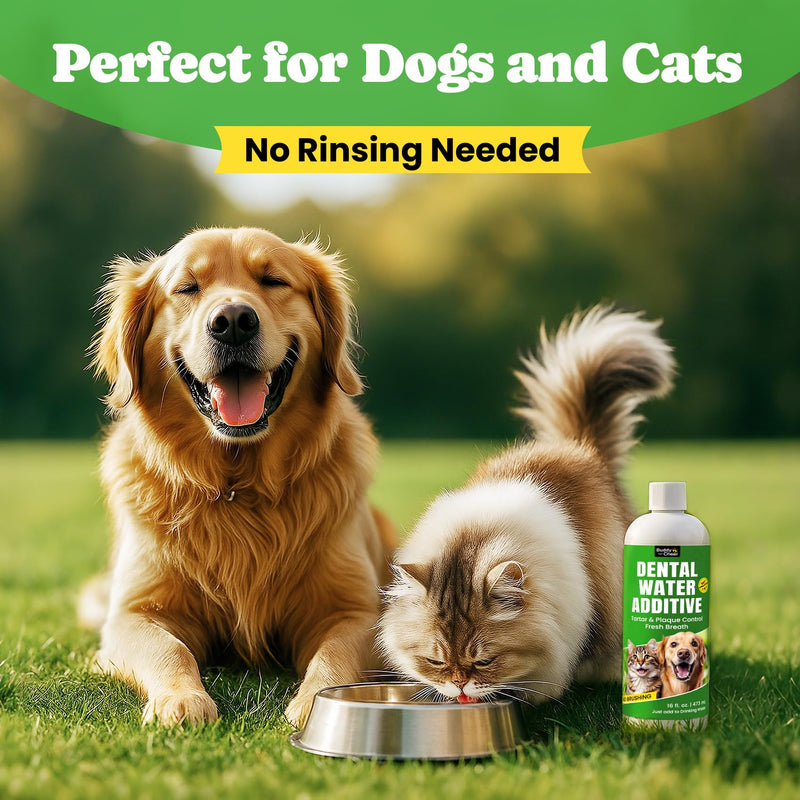 Cat Oral & Hairball Support Bundle – Dental Water Additive with Hairball Control Creamy-Filled Treats for Digestive Comfort & Oral Care