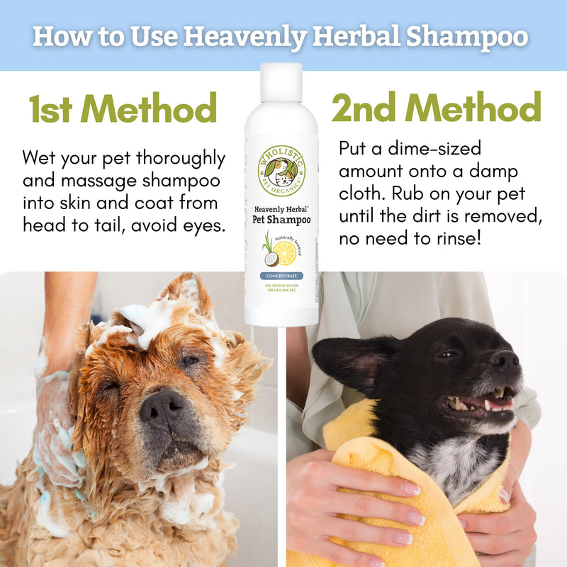 Wholistic Pet Organics Pet Shampoo Concentrate: Heavenly Herbal Organic Dog Shampoo and Conditioner - All Natural Puppy and Cat Shampoo for Dry, Itchy Skin, Allergies, Dandruff Shampoo 2.0 Ounces - BeesActive Australia