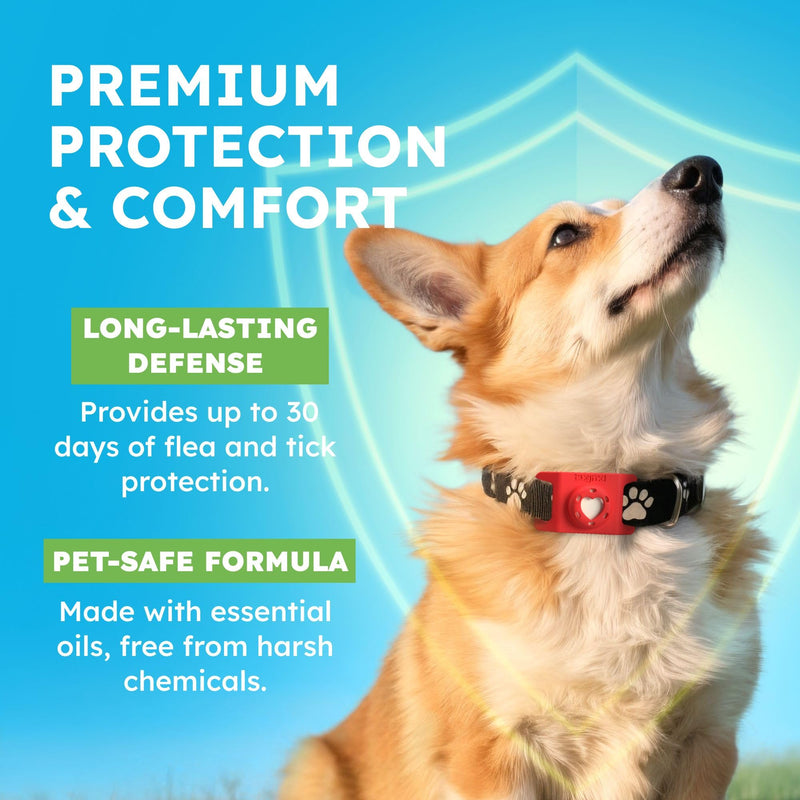 Bug MD Paw Guardian Refill, Plant-Powered Flea & Tick Protection Tablets, 3 Count, 30-Day Protection, Natural Essential Oil Formula 1 Pack