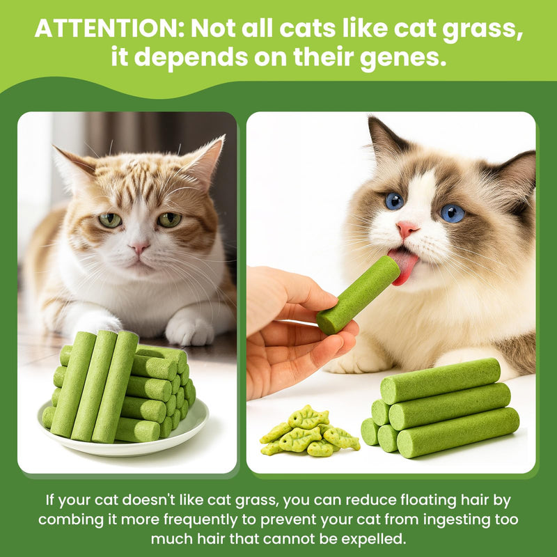 Cat Grass Sticks, 60 g Cat Grass Teething Stick and 50 g Cats Treats, Natural Dental Chews for Teeth Cleaning & Hairball Relief Teething Sticks for Indoor Cats Grain-Free 110 g