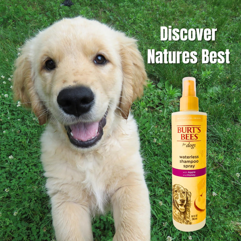 Burt's Bees for Pets Natural Waterless Dog Shampoo Spray with Apple & Honey, Dry Shampoo for Dogs, Sulfate & Paraben Free, pH Balanced, 10oz Dog Dry Shampoo, Bundle with NOAHIAN Dog Groom Bath Brush - BeesActive Australia