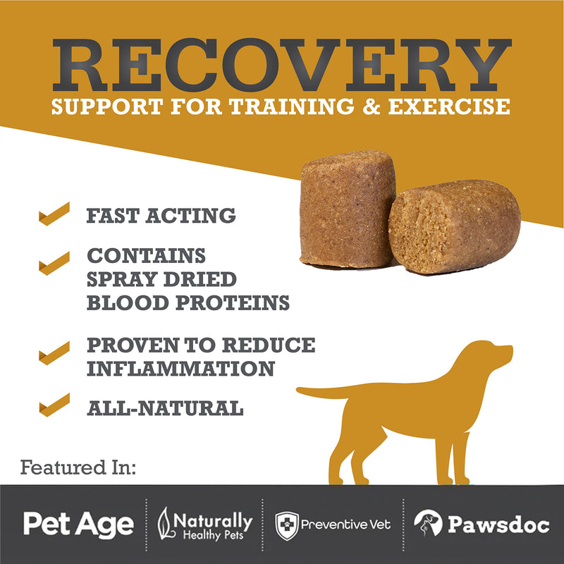 WINPRO Recovery Chews for Dogs, Plasma-Powered for Active Dogs, Immune System Support, and Dog Training Support for Competition and Sport Muscle Recovery and Agility, 60 Count, Made in USA - PawsPlanet Australia