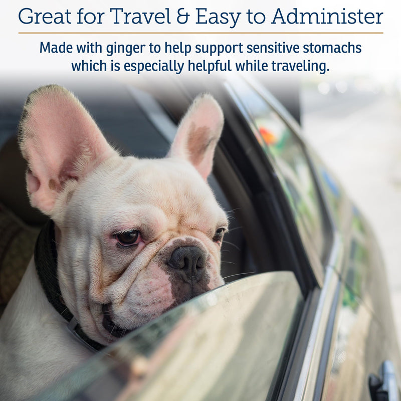 Rx Vitamins NutriCalm - Calming Care for Dogs with Valerian Root, Tryptophan, & Ashwagandha - Aids in Separation Anxiety Relief for Dogs and Stress Relief - Road Trip Essentials & Relaxant - 50ct New Label