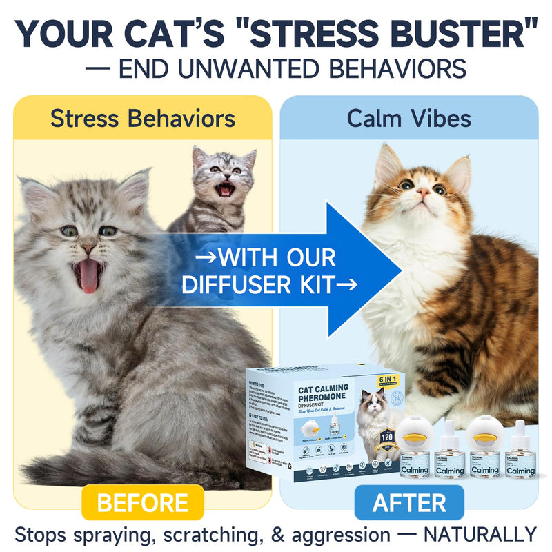 Anti Cat Pee Diffuser Calm Calming Cat Pheromone Pet Diffuser Plug In Spray Relaxer For Cats Anxiety Feromonas Calming Pheromones Relaxing Stress Diffuser Calmer With 4 Refill Peeing Cat Diffusers 2 diffuser,4 refill