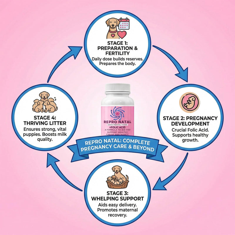Prenatal Multi-Vitamin Capsules - 60-Day Supply to Aid Full-Term Pregnancies and Promote Optimal Health for Expecting Dogs - ReproNatal™ Dog Supplement Prenatal (Female Dog)