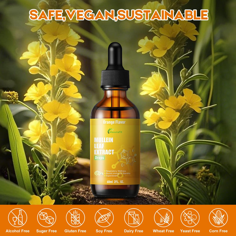 Mullein Drops for Lungs Liquid - Support Respiratory Herbal Supplement,Mullein Leaf Extract for Lungs Cleanse with Cordyceps, Marshmallow Root & Licorice Root Extract 2 fl oz 1 Pack