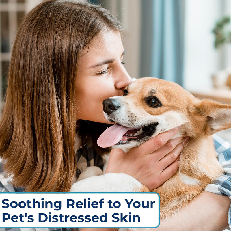 Replenish Anti Itch Dog Shampoo with Ketoconazole and Chlorhexidine for Dog Skin Irritation Treatment & Itchy Skin Relief - Dr. Rachel’s Veterinary Formula Dog Shampoo with Cucumber Melon Scent - 8 oz - PawsPlanet Australia