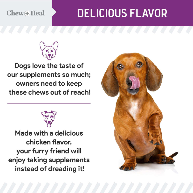 Stop The Scoot Fiber for Dogs - 120 Soft Chews with Pumpkin Powder for Healthy Anal Gland Function - Vet Recommended, Made in The USA 1 Pack (120 Count) - PawsPlanet Australia